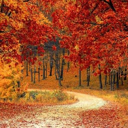 Cover art for Cochran Mill Park Adventures and History